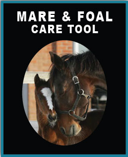 Mare & Foal Care Tool